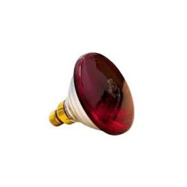 Imagem de Lâmpada infravermelho 150w- Polamp