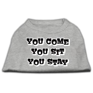 Imagem de Mirage Pet Products Camisetas estampadas You Come/You Sit/You Stay de 20 cm para animais de estimação, PP, cinza