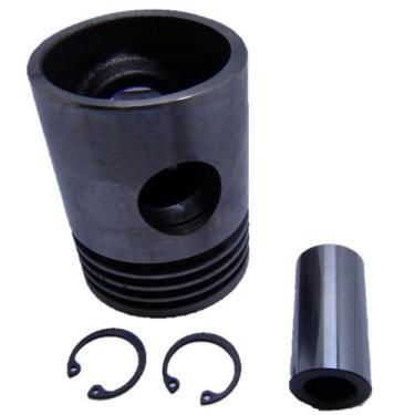 Imagem de Pistão 2 1/2 Wayne W600 W700 W900 Mswv80Max Serve Psv25Sp Atg32 40Wp P