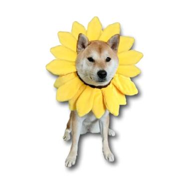 Imagem de ComfyCamper Fantasia de girassol para cães para cães pequenos médios grandes filhotes filhotes gato gatinho – roupas de cabeça fofa flor faixa de cabeça – coleira cone fantasia chapéu sombrero roupa pet cosplay Halloween (médio)