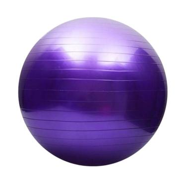 Imagem de Bola De Yoga Convoy - Roxo Único-Unissex