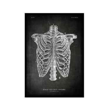 Imagem de Arte vintage de anatomia humana – Pintura em tela de educação médica, esqueleto humano, gaiola, cérebro, coração, anatomia, pôster para decoração de casa de clínica hospitalar (SKU2,20,3 x 30,5 cm =