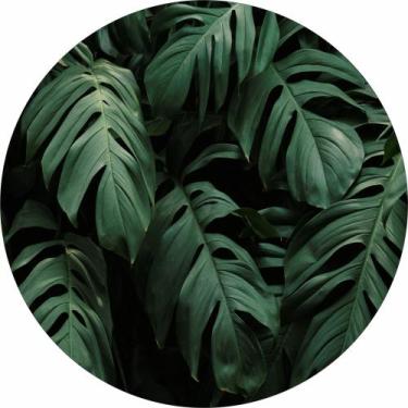 Imagem de Painel de Lona Redondo Folhas Costela de Adão - Fabrika De Festa, 150x