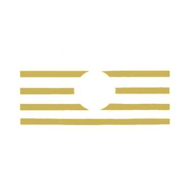 Imagem de Conjunto Aplique Máscara Grade Para VW Constellation Dourado - Venka