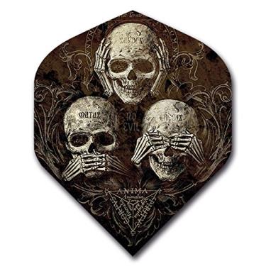 Imagem de Conjunto de 3 dardos americanos (9 voos) Alchemy Fear No Evil Standard Dart Flight