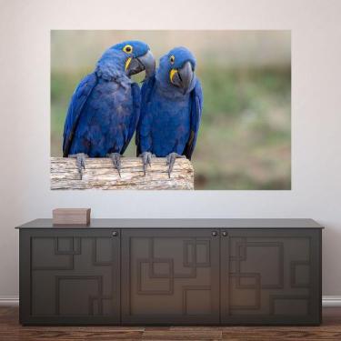 Imagem de Painel Adesivo de Parede - Araras - Animais - 1733pnp - Allodi