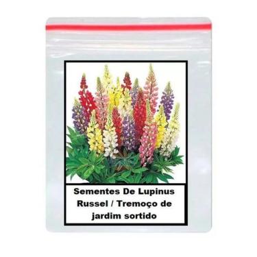 Imagem de 50 Sementes De Lupinus Russel / Tremoço de jardim sortido - TOPSEED