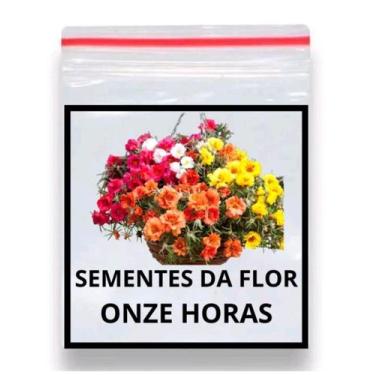 Imagem de Sementes Flor Onze Horas/Portulaca GrandeFlora Sortido 1100 unidades -