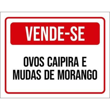Imagem de Placa Acm Vende-Se Ovos Caipira Mudas Morango 18X23 - Sinalizo