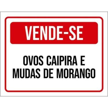Imagem de Kit 3 Placas Vende-Se Ovos Caipira Mudas Morango 27X35 - Sinalizo