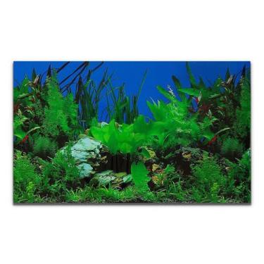 Imagem de Painel Para Aquários Fundo Azul E Plantas Pp-081 - 30X200Cm - Chang
