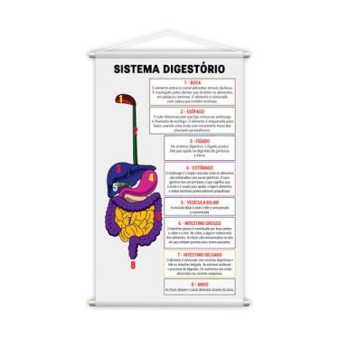 Imagem de Banner Pedagógico Escolar Sistema Digestivo 80x50cm - PlimShop