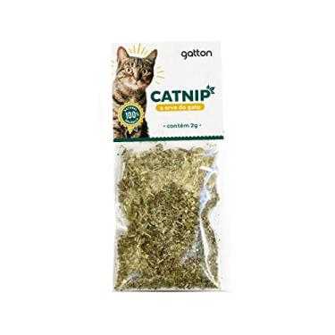 Imagem de Catnip - 100% Natural Orgânico