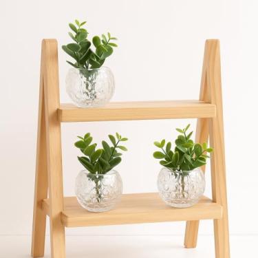 Imagem de Kit 3 Vasos Decorativos de Vidro com Plantas Artificiais, Design Bolha Transparente, Arranjos Modernos para Mesa, Sala, Banheiro, Escritório e Presente Decorativo