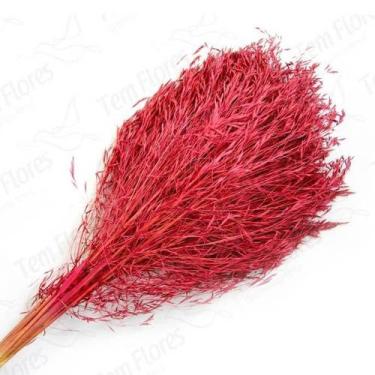 Imagem de Capim Chorão André Quicé Desidratado Flores Secas - Pense Flores, Pink