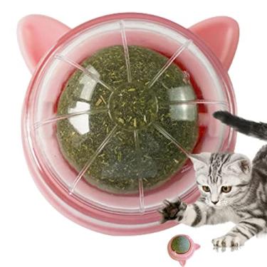 Bola de Catnip de 4 Peças Montada na Parede Brinquedo de Bola de