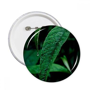 Imagem de Folha Planta Natureza Fotografia Alfinetes Redondos Emblema Botão Decoração Acessório 5 peças