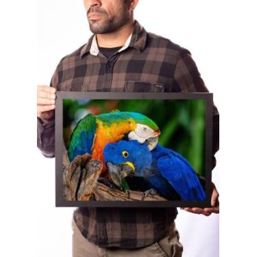 Imagem de Quadro Decorativo Arara Azul Papagaio Arlequim Foto - Fanarte
