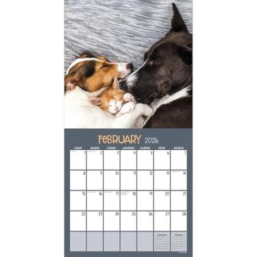 Imagem de TF Publishing Calendário de parede de amigos peludos 2026 - grades grandes para compromissos e agendamento - Calendário de parede mensal vertical 2026 com papel brilhante premium para organização de