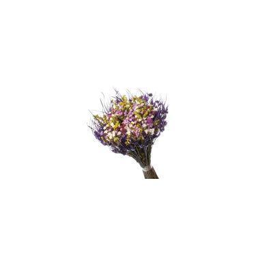 Imagem de Buque De Flor Seca Estrelinha - Variações - Pense Flores, Lilás e Rosa