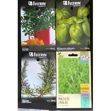Imagem de Kit 4 Sementes Temperos Horta Em Casa Jardins Vasos (COENTRO, SALVIA, HORTELÃ, ORÉGANO)
