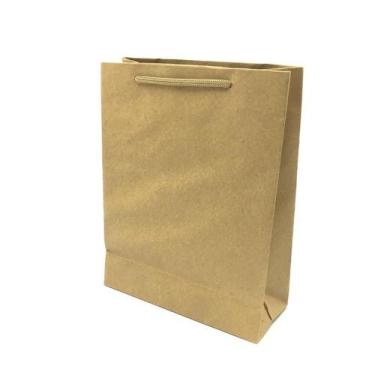 Imagem de 10 Sacolas Alça de Cordão - 25x20x8  Para Presentes, Cosméticos ou Art