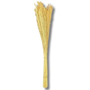 Imagem de Buquê Flor De Vassoura Cores Natural Arranjo Decoração Festa - Inspira
