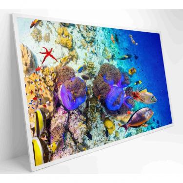 Imagem de Quadro Peixes Coloridos Fundo Do Mar Medidas 60x40 Cm Impressão Vidro Acrílico