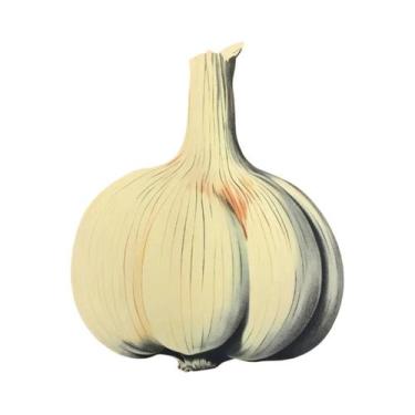 Imagem de Azul Anchovas Sardinhas Ostras Massa Sushi Arte Da Parede Pintura Em T