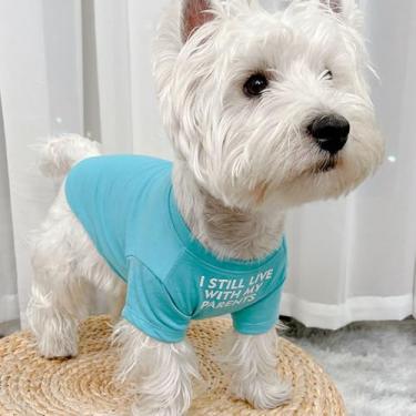 Imagem de Camisetas para cães, roupas para cães de estimação, verão, manga curta, camiseta para cães pequenos, pulôver, camiseta, moletom, azul, tamanho G