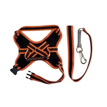 Imagem de Coleira e Guia para cachorro nome personalizado Peitoral pequeno médio grande porte(Laranja,PP)