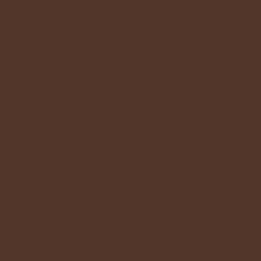 Imagem de Tinta PVA Cintilante Corfix 100 ml 319 - Marrom