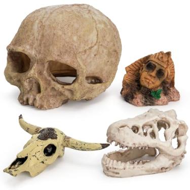 Imagem de Lawei 4 peças de enfeites de caveira de resina de aquário, decorações de esconderijos de répteis do deserto, esqueleto humano dinossauro crânio de gado para tanques de peixes decorativos, pequena