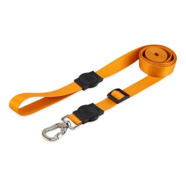 Imagem de Mood Pet Coleira Guia Retrátil Para Cães Cachorro Adestramento Passeio Porte Grande Médio Pequeno (Caramel, M)