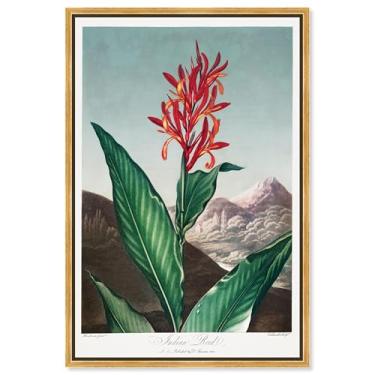 Imagem de Art Remedy Tela de impressão botânica, 61 cm x 91 cm, moldura dourada, palheta indiana 1807