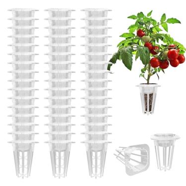 Imagem de Accoorder Cestas de crescimento quadradas de substituição para sistema de cultivo hidropônico, cestas de vagens de sementes para jardim de ervas interno, recipientes de cultivo de plantas cabem esponjas quadradas, pacote com 50, branco