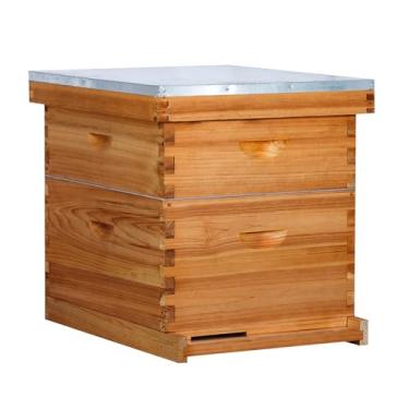 Imagem de Honey Lake 10 armações de abelha colmeia 1 caixa de abelha e 1 Super caixa de colmeia de abelha, colmeia de abelha e suprimentos kit de iniciante inclui molduras de colmeia e folha de base