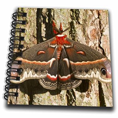 Imagem de 3dRose db_205529_3 Mini bloco de notas mariposa Cecropia no tronco de árvore Marion Illinois EUA, 10 x 10 cm
