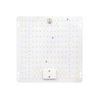 Imagem de Luz de Crescimento Planta LED Espectro Completo para Substituição Mudas Plantas Verdes Flores e Internas em Casa