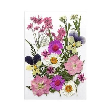 Imagem de Flores Naturais Prensadas E Secas Para Resina Epóxi, Arte Em Unhas DIY