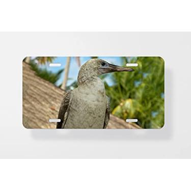 Imagem de Capa para placa de carro Red Footed Booby – Capa para placa de carro – Capa para placa de carro 15 x 30 cm