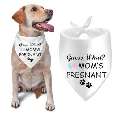 Imagem de Adivinhe o quê? Bandana de anúncio de bebê grávida para cães, bandana de anúncio de bebê revelação de gênero para cães, cachecol para animais de estimação, uso diário, adereço de foto, suprimentos de