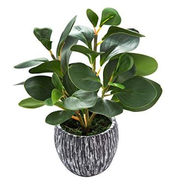 Imagem de AlphaAcc Plantas artificiais com aparência real e tocante, planta falsa de plástico perene, folha de violino, figueira, plantador rústico de cimento preto para decoração de mesa de escritório de