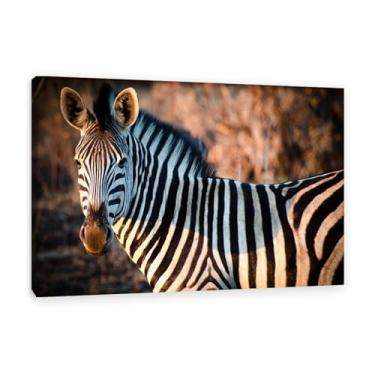 Imagem de Imagens de animais em preto e branco para decoração de parede Zebra ao sol imagem natural africana impressão de imagem de cavalo pintura de parede zebra decoração de parede para sala de estar 75 x 50
