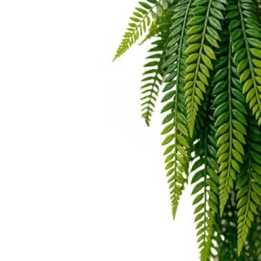 Imagem de Plantas Artificiais Pendente Samambaia Artificial Ou Jiboia Realista Para Decoracao Para Casa Decoração Tropical(1 Pendente Samambaia)