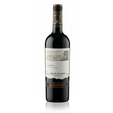 Imagem de Vinho Alma de Los Andes Ventisquero Reserva Carménère 750ml