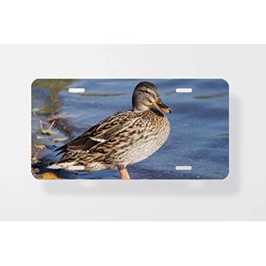 Imagem de Capa para placa de carro Mallard 2 – Capa para placa de carro – Capa para moldura de placa de carro 15 x 30 cm