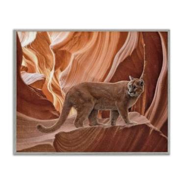 Imagem de Stupell Industries Cougar Canyon View Gray Framed Giclee Art Design por Collin Bogle, 28 x 35