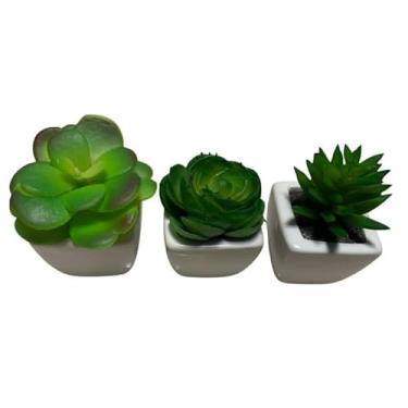Imagem de kit 3 Suculentas mini, vaso em cerâmica, plantinha, cacto, vasinho delicado, decoração, flores decorativas, Escritório e Ambientes Internos, Ideal para Casa e Presentes Femininos(kit 2)