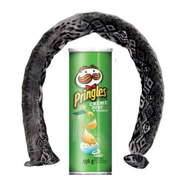 Imagem de Pote De Batatas Que Pula Cobra Q Cor Verde Escuro